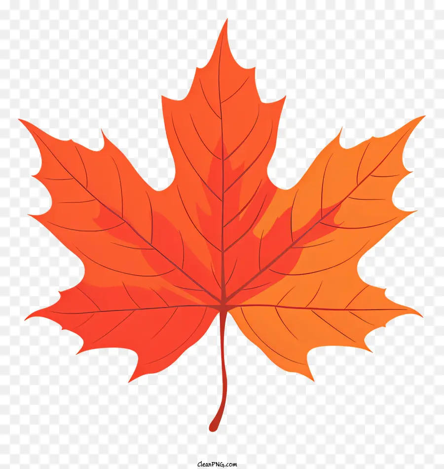 Maple Leaf，Vermelho PNG