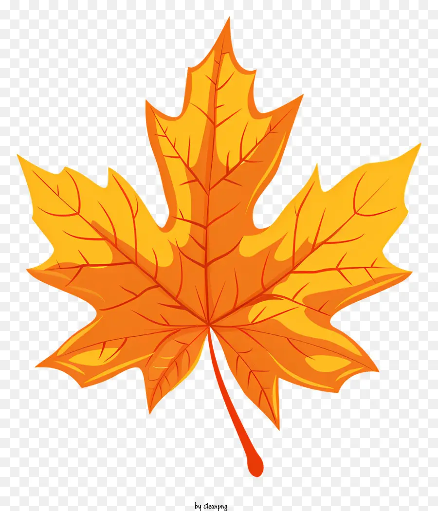 Maple Leaf，Laranja PNG