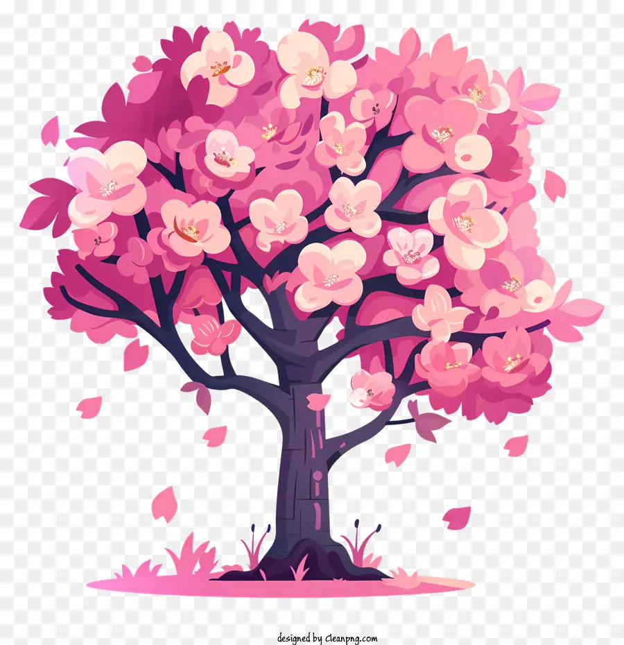 Flor De Cerejeira，árvore Rosa PNG