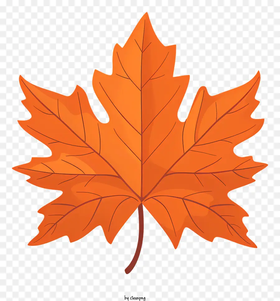 Maple Leaf，Outono Maple Leaf PNG