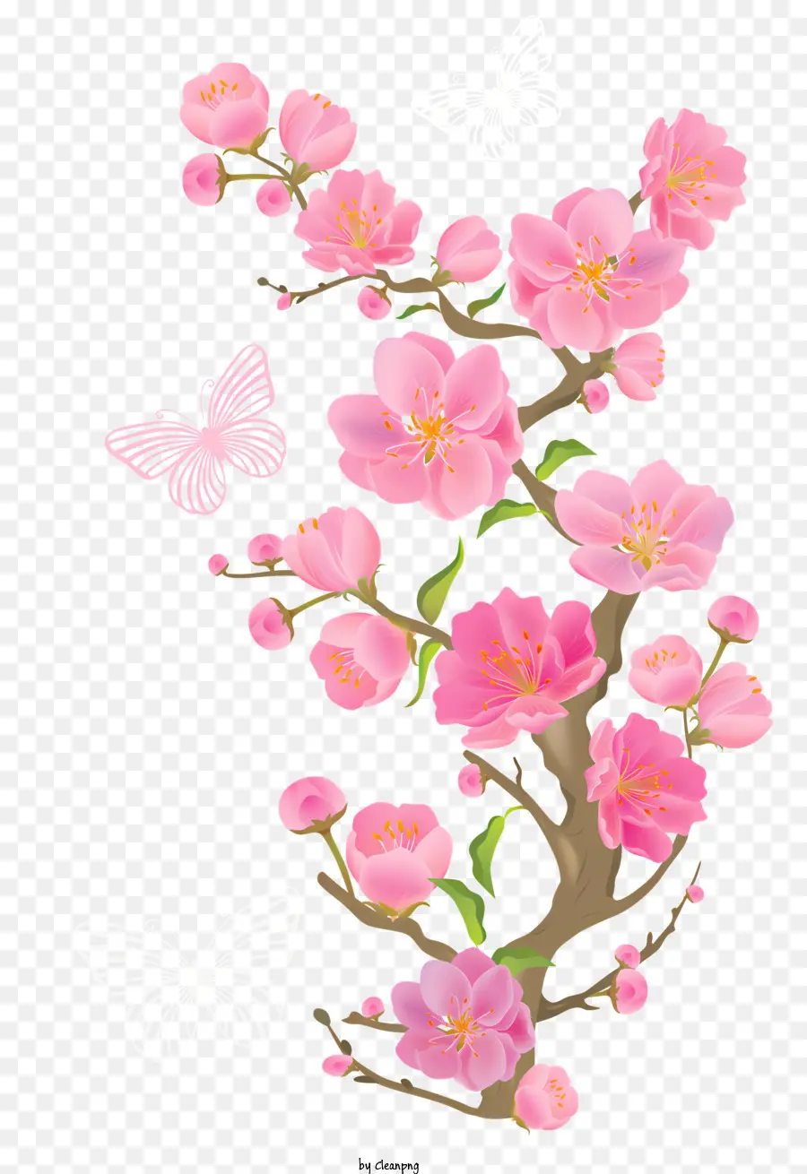 Blumen，Flor PNG