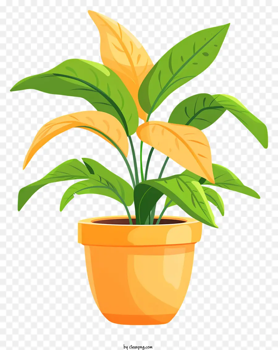 Flowerpot，Suculenta Planta PNG