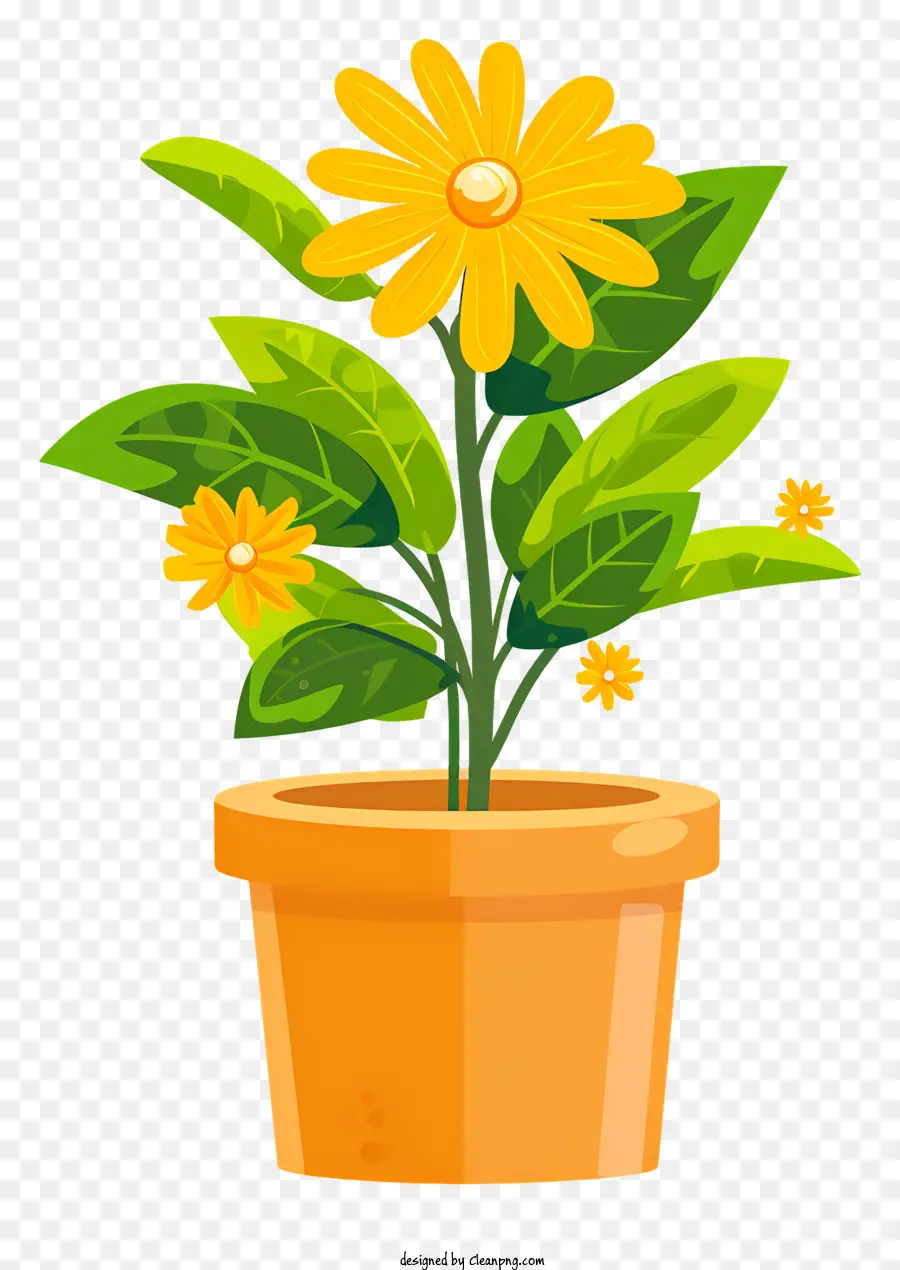 Flowerpot，Planta De Flores Pequena PNG