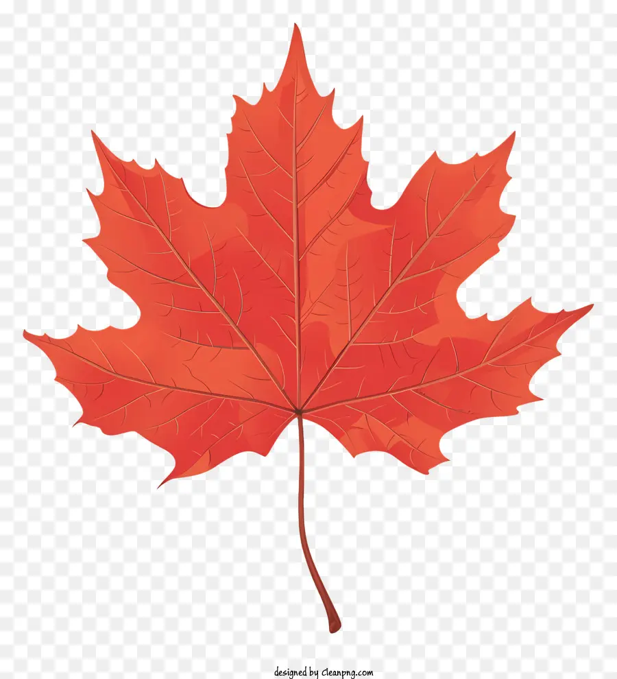 Maple Leaf，Canadá PNG
