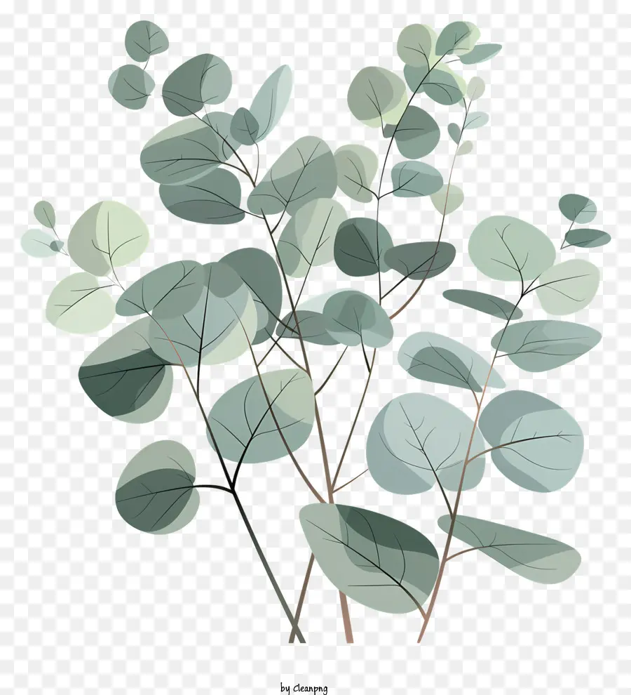 Folhas De Eucalipto，Planta De Eucalipto PNG