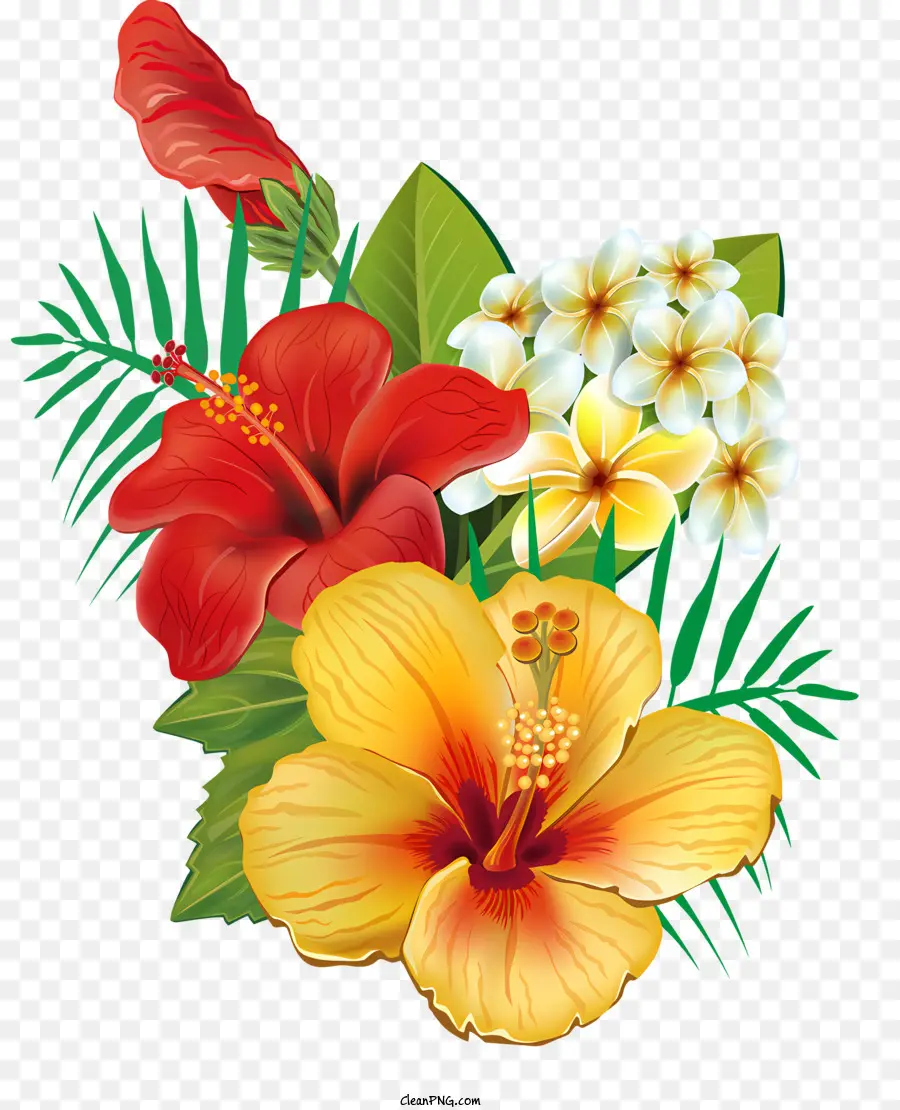 Blumen，Flor PNG