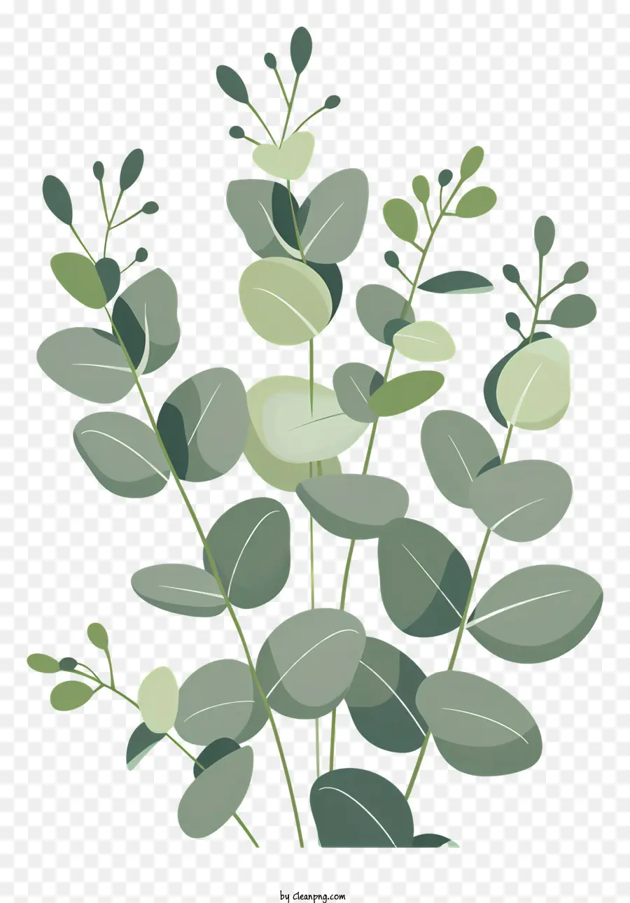 Folhas De Eucalipto，Folhas Verdes PNG