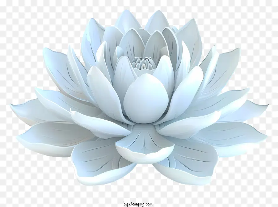 Lótus Branco，Branca Flor De Lótus PNG