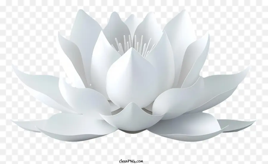 Lótus Branco，Branca Flor De Lótus PNG