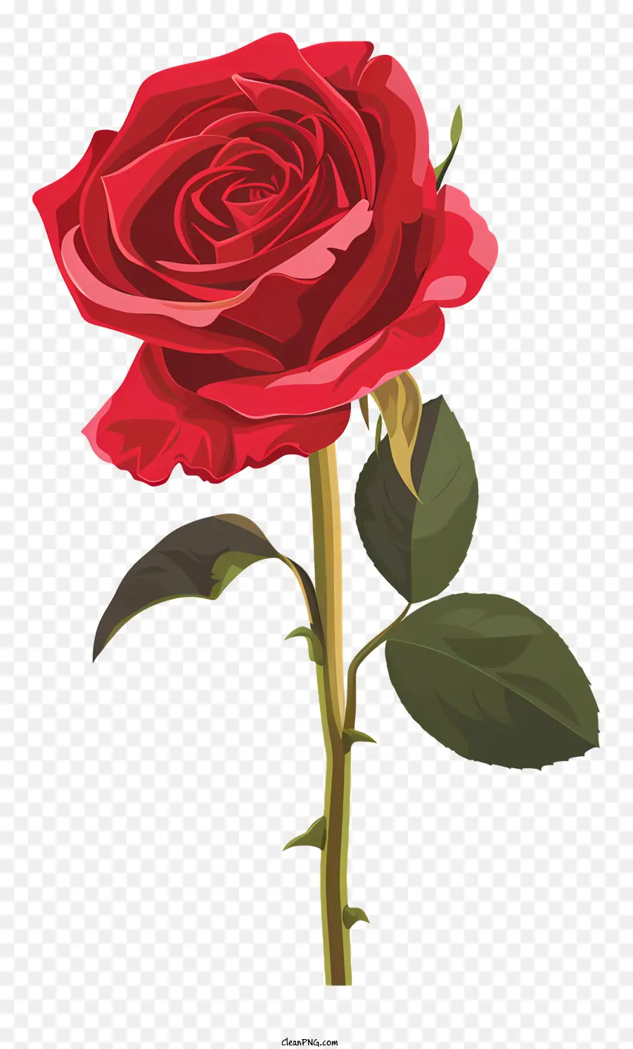 Única Rosa Vermelha，Rosa Vermelha PNG