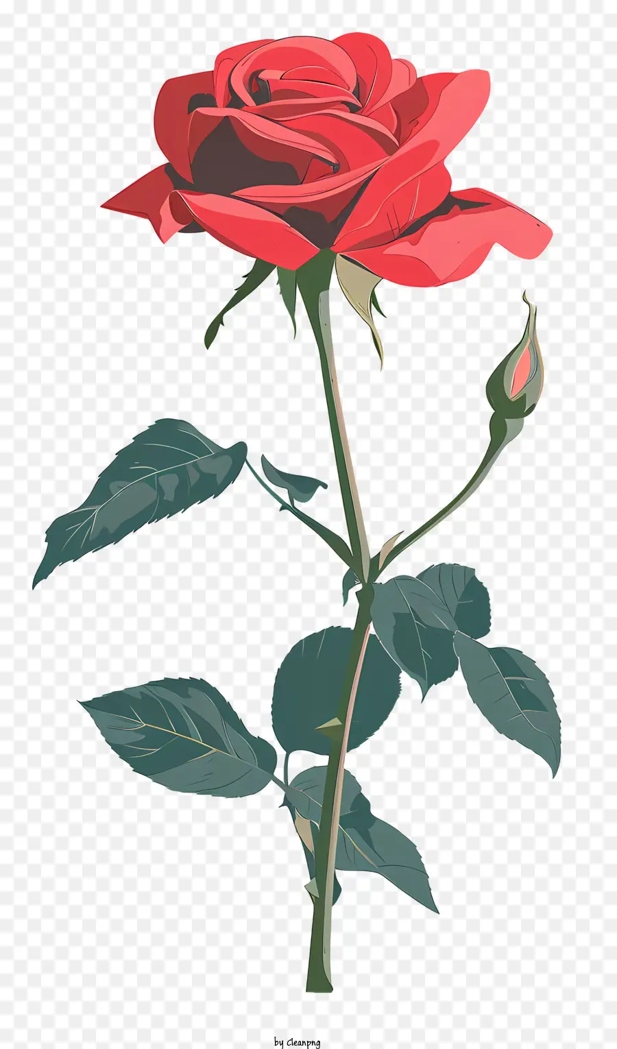 Rosa Vermelha，Flor PNG