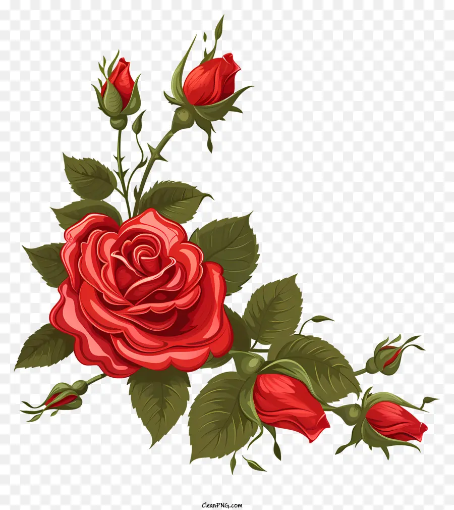Rosa Vermelha De Canto，Rosas Vermelhas PNG