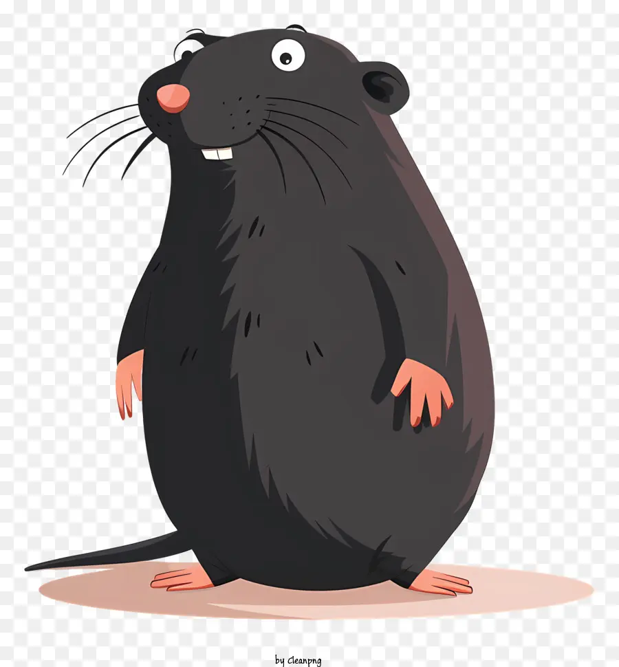 Mole，Rat PNG