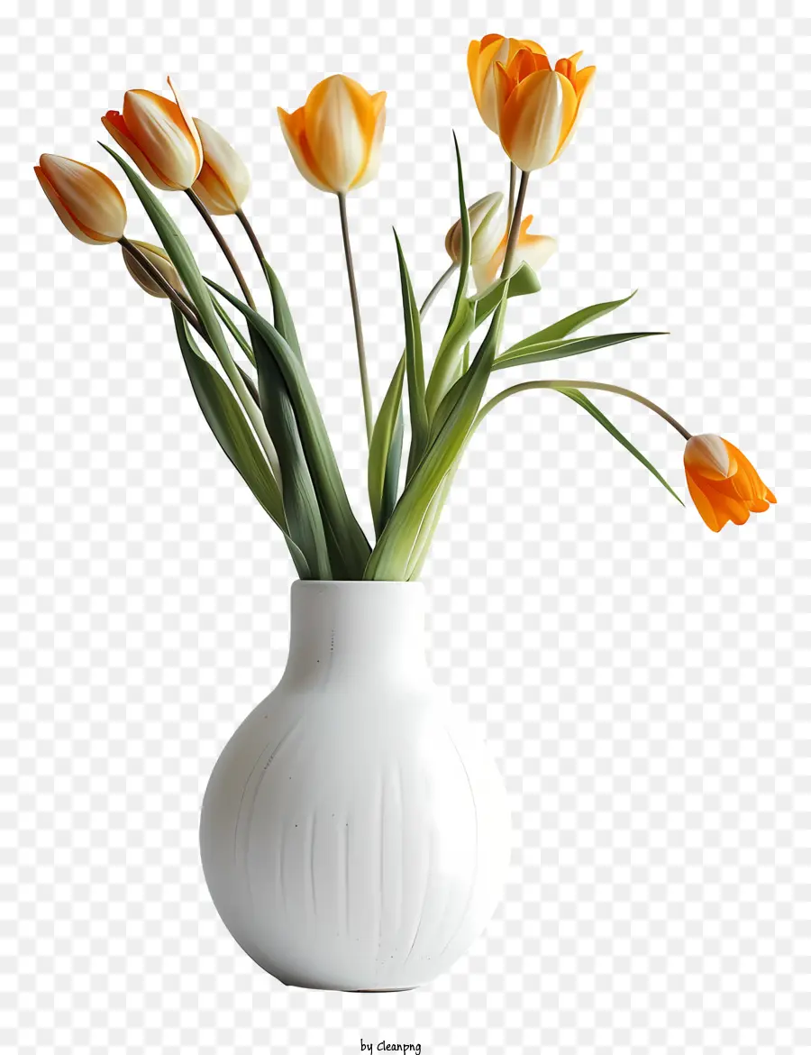 Blumen，Vaso Branco PNG