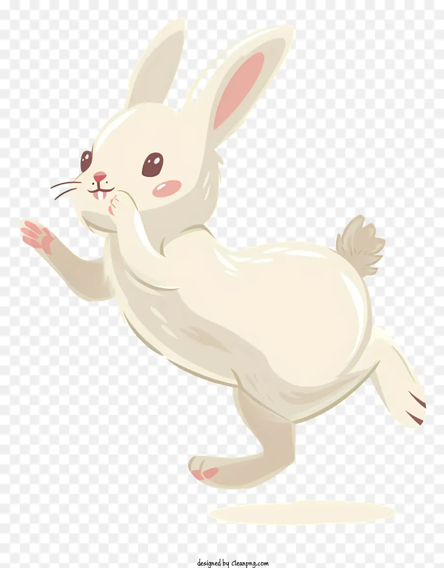 Bunny Hop，Coelho Branco PNG