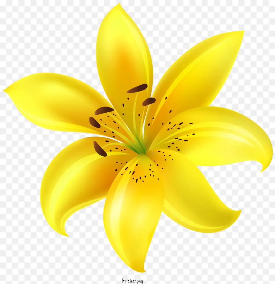 Flores，Flor Amarela PNG