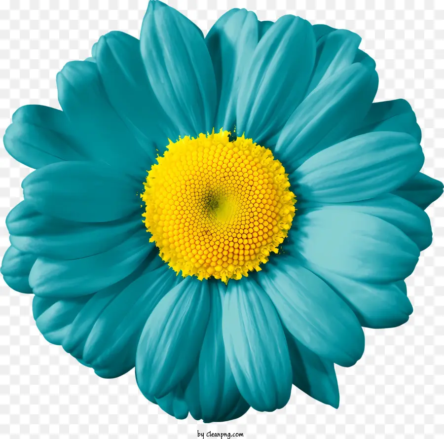 Flores，Flor Azul PNG