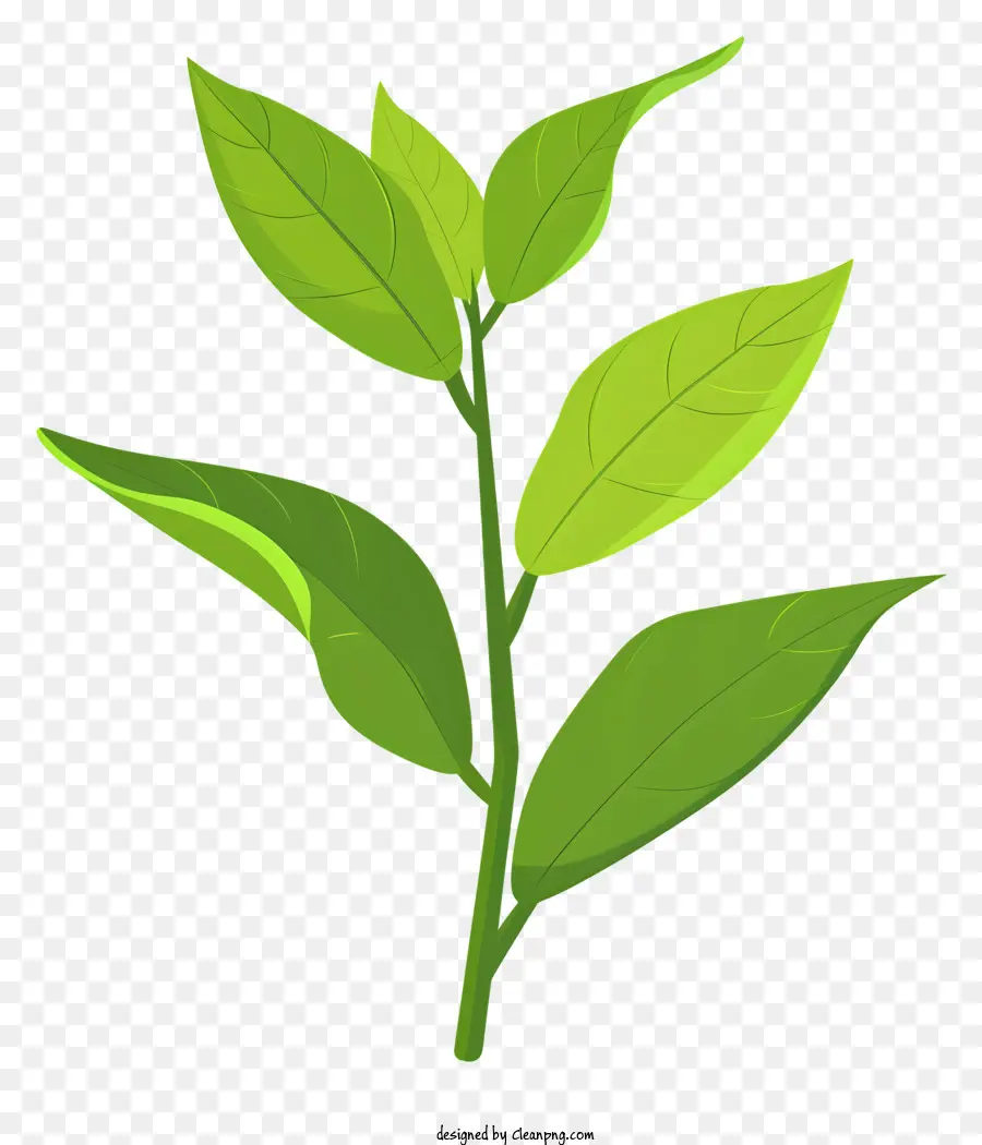 De Folha De Chá Verde，Planta Verde PNG