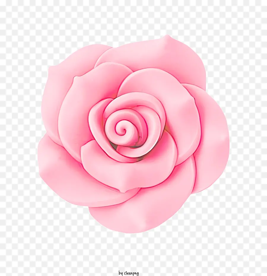 Flores，Rosa Cor De Rosa PNG