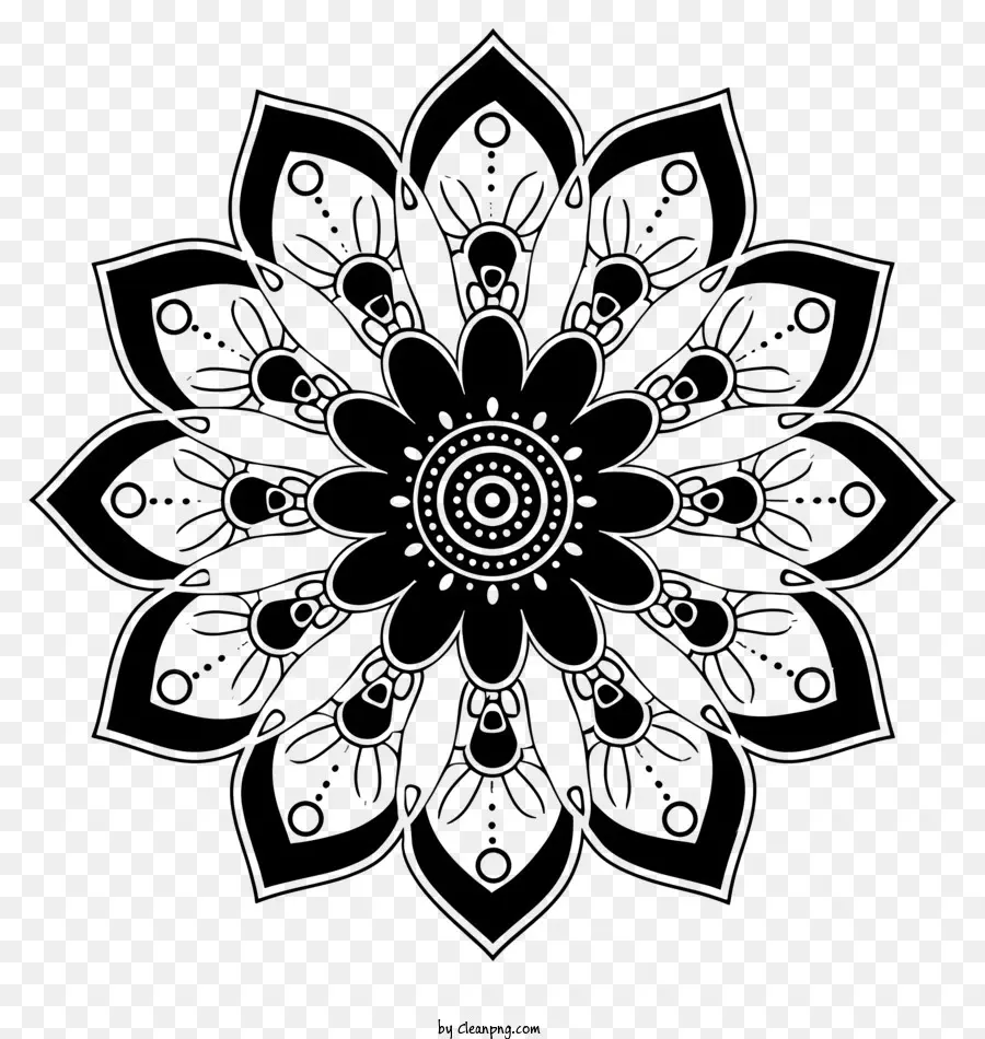 Flor De Linha Simples，Negra Flor PNG