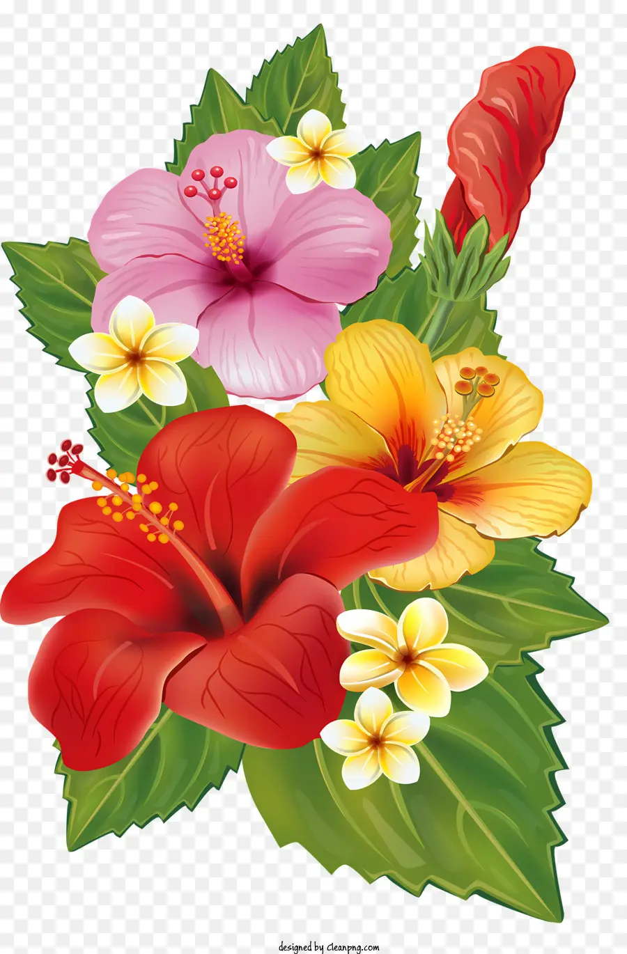 Flores，Flores De Hibisco PNG