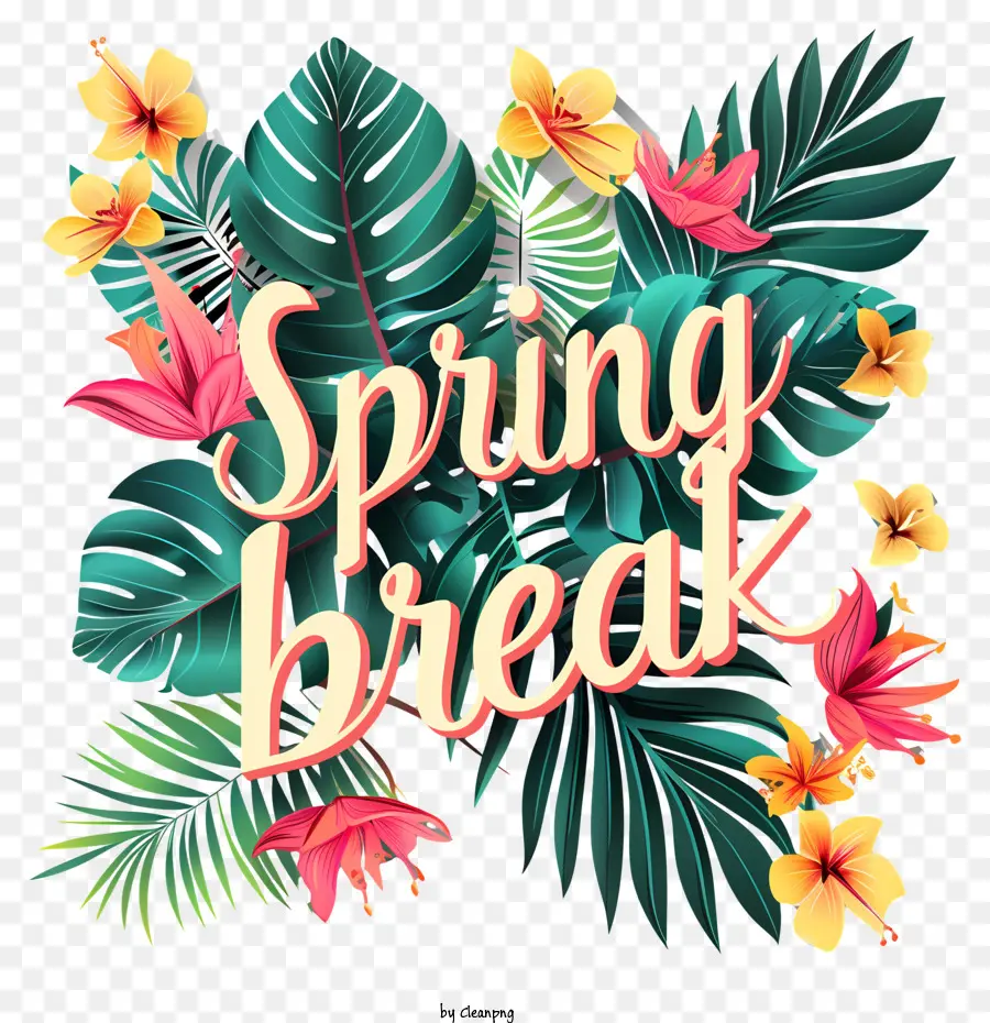 Spring Break，Vacation PNG