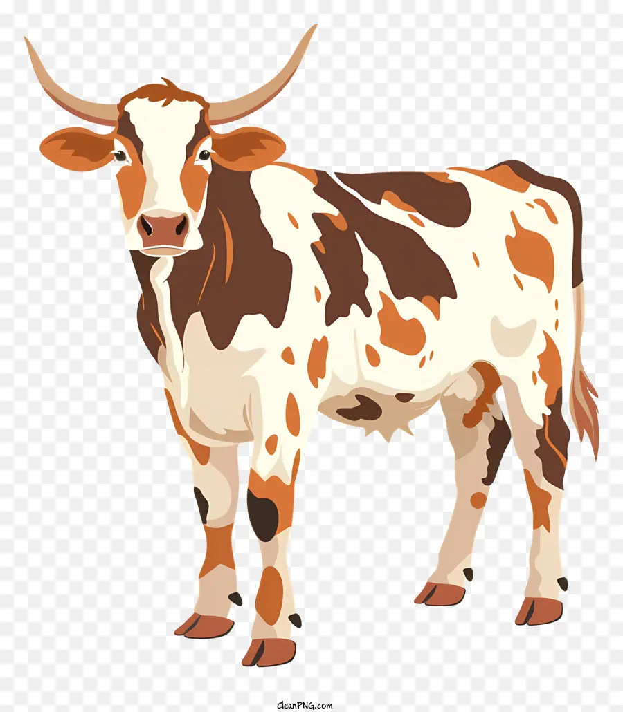 Vaca Hereford，Cow PNG