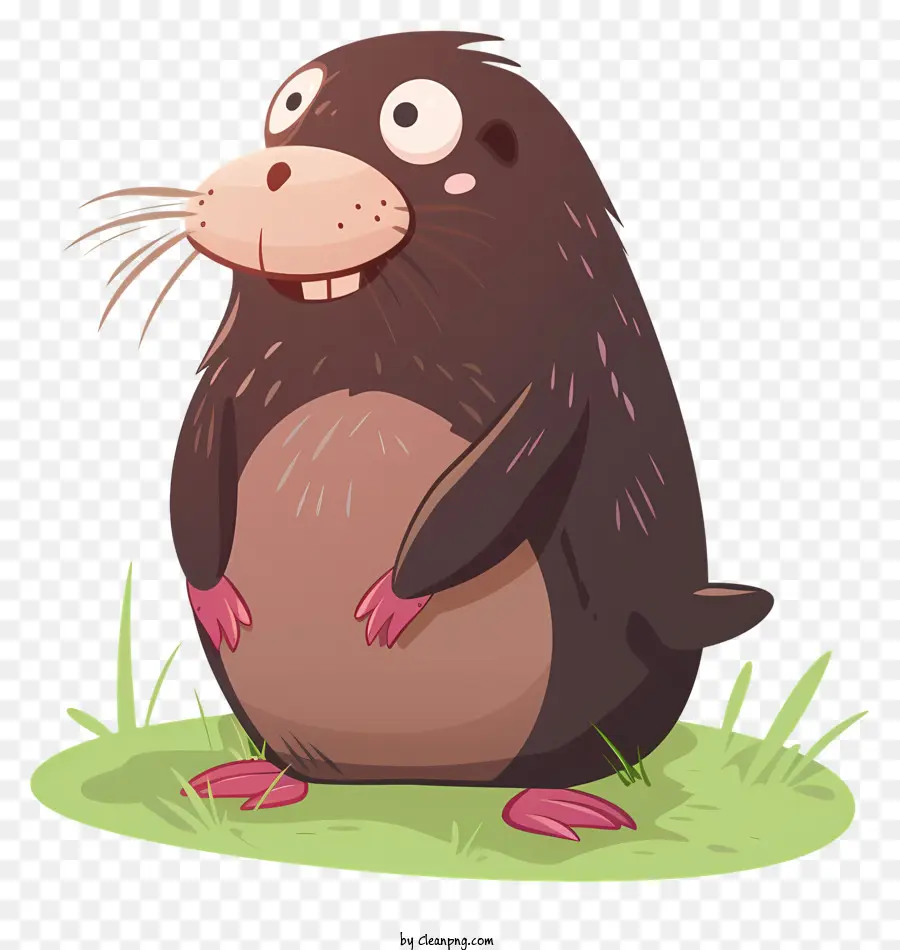 Mole，Bonito Beaver PNG