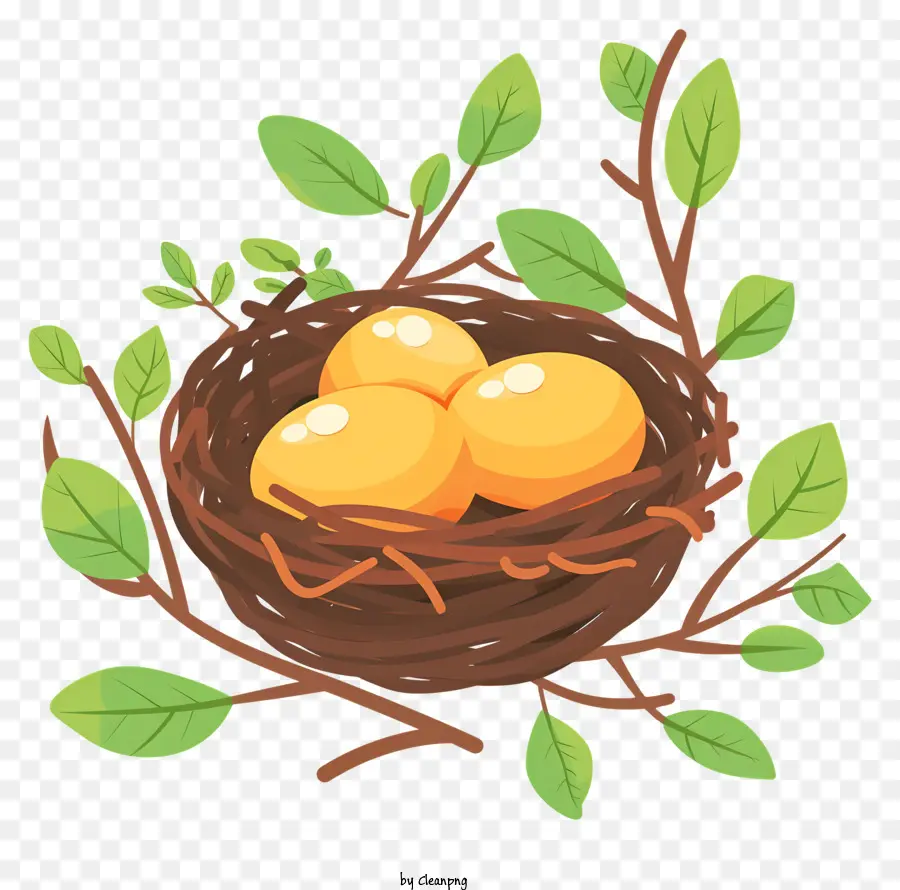 Ninho De Pássaro，Eggs PNG
