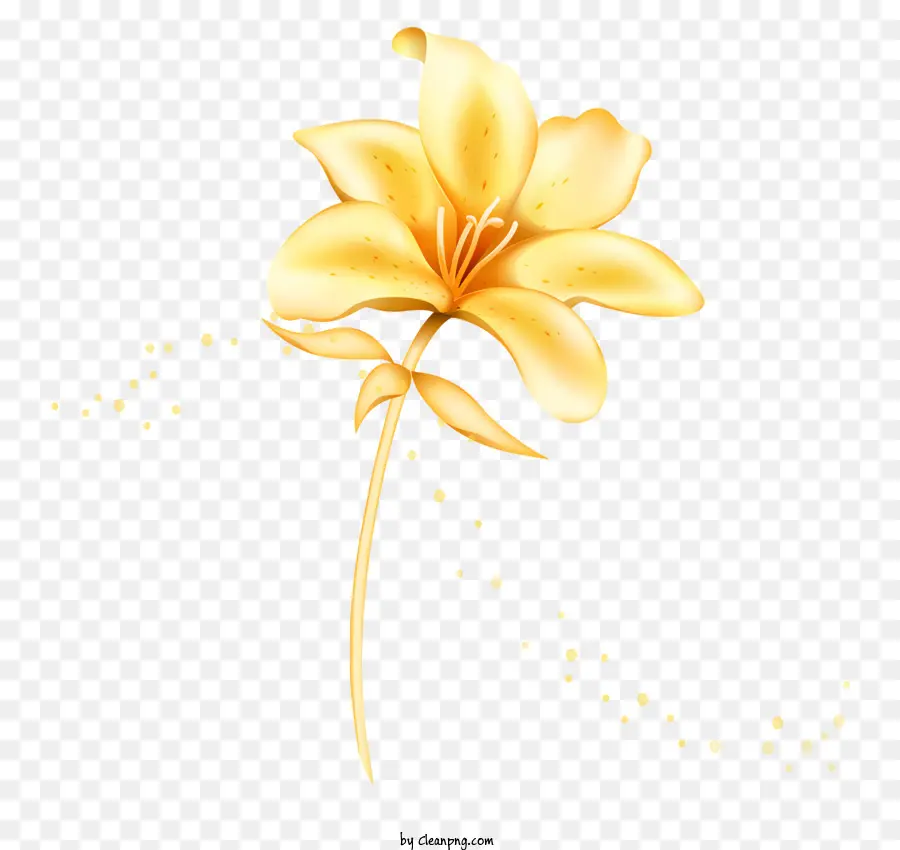 Ouro，Flor Amarela PNG