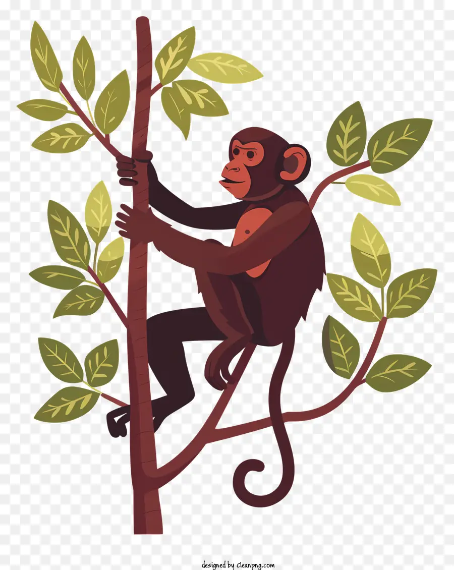Cartoon Macaco，Macaco PNG