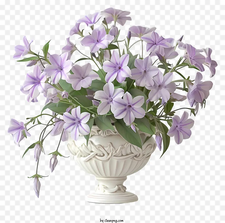 Phlox Rastejante，Flor De Primavera PNG