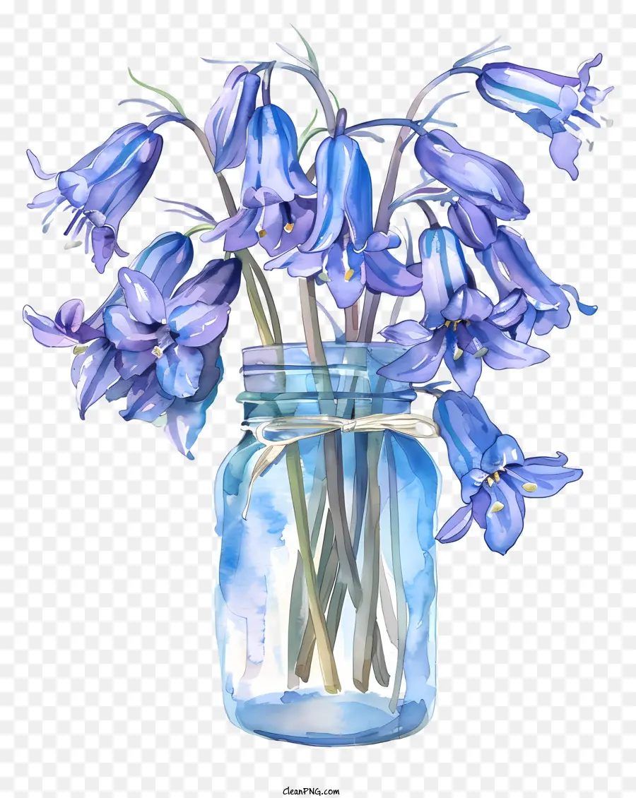 Flor De Bluebell，Flor De Primavera PNG