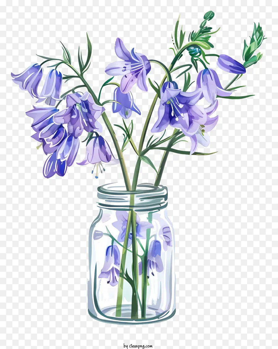 Flor De Bluebell，Flor De Primavera PNG
