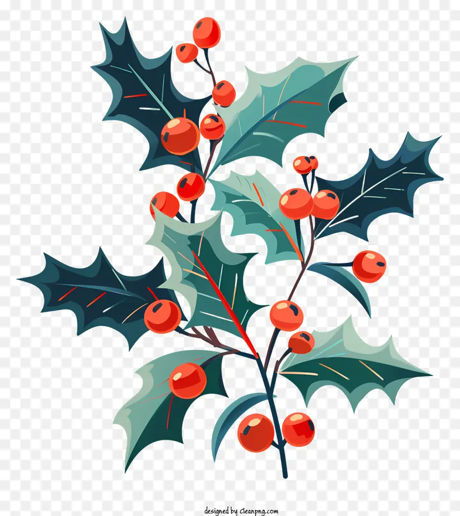 Planta De Holly De Natal，Ramo De Holly PNG