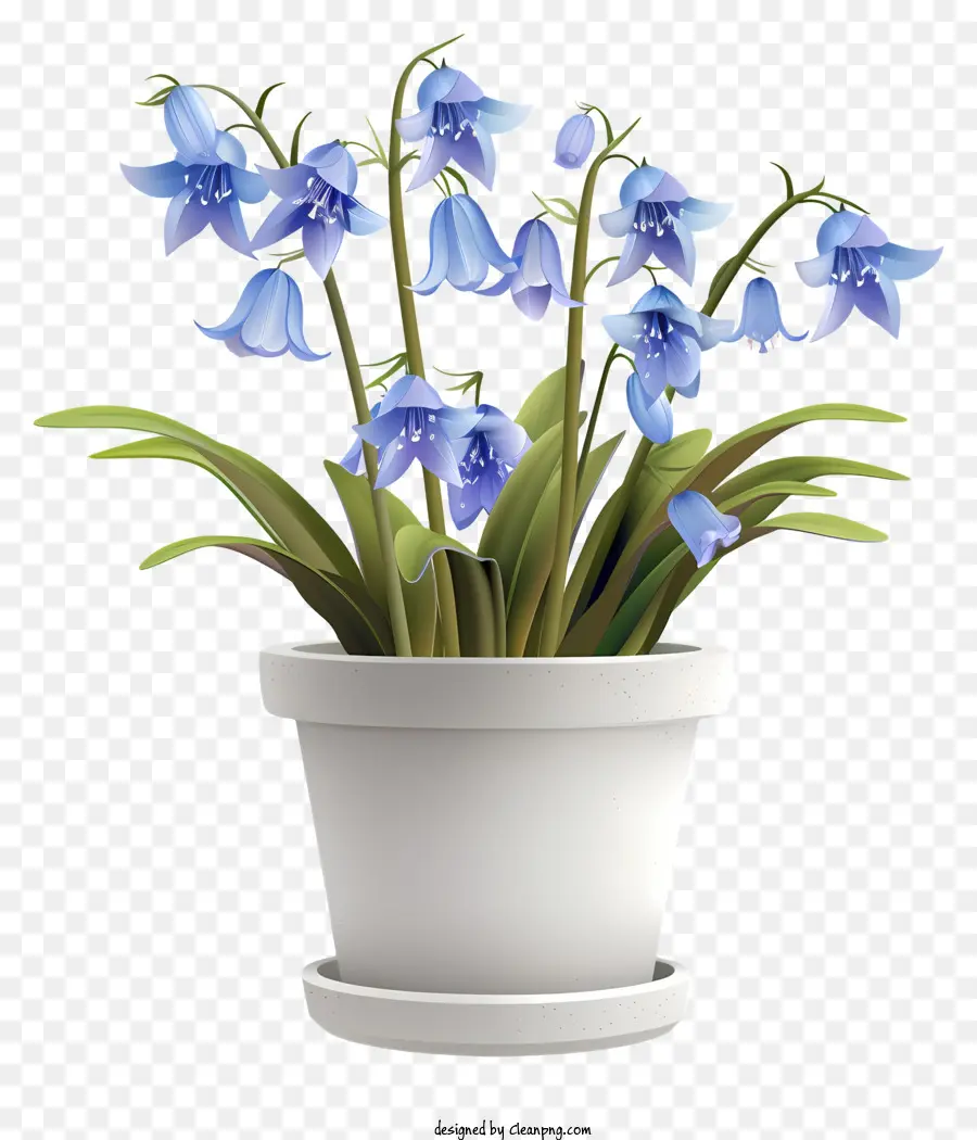 Flor De Bluebell，Flor De Primavera PNG