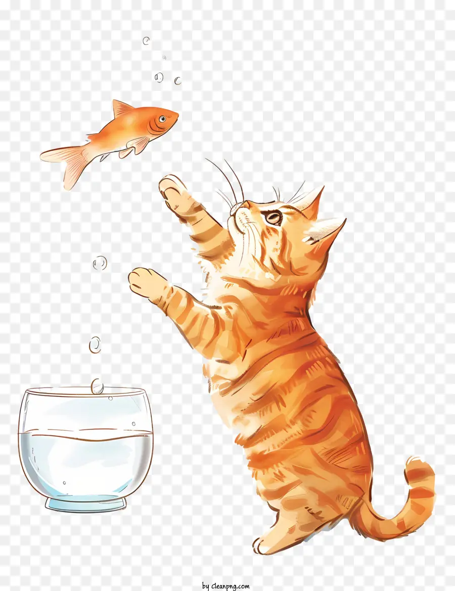 Gato Pegando Peixe，Gato PNG