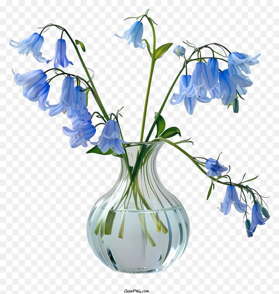 Flor De Bluebell，Flor De Primavera PNG