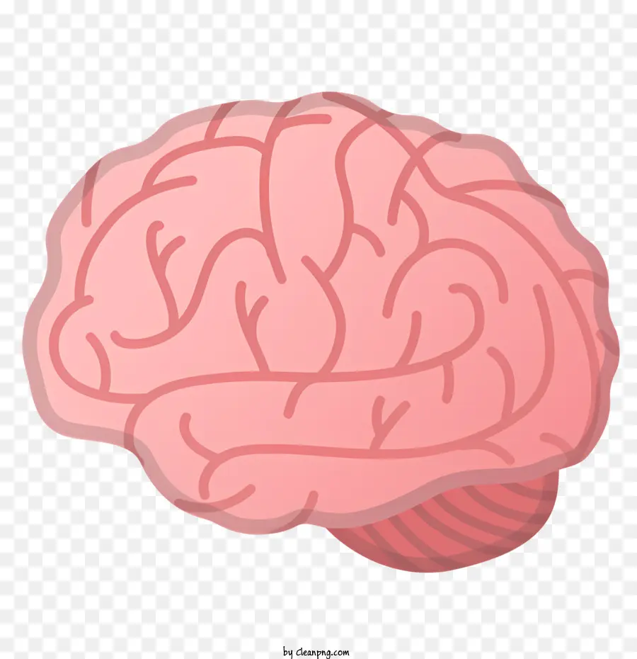 Emoji，Cérebro Humano PNG