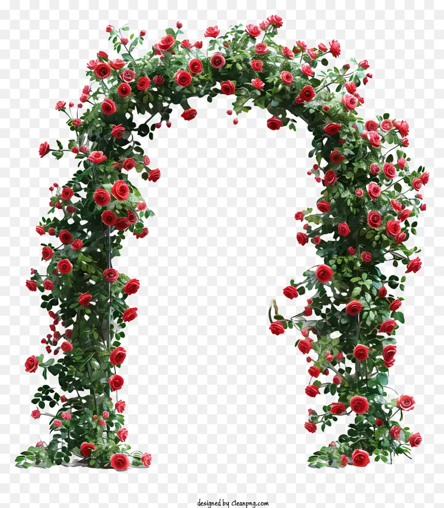 Porta De Flor Da Primavera，Rose Arco PNG