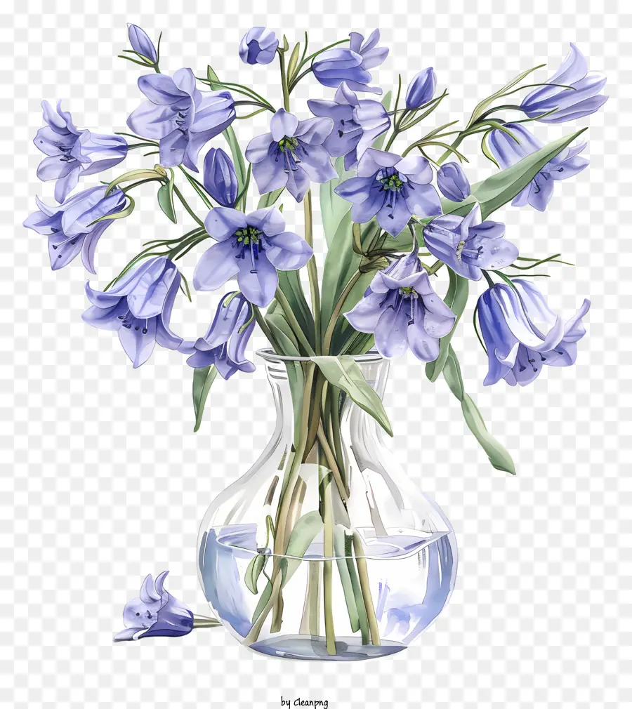 Flor De Bluebell，Flor De Primavera PNG