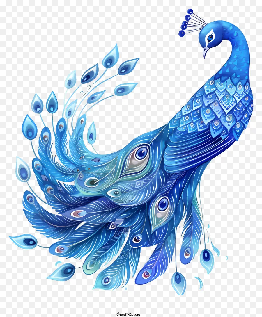 Pavão Azul，Penas Da Cauda PNG