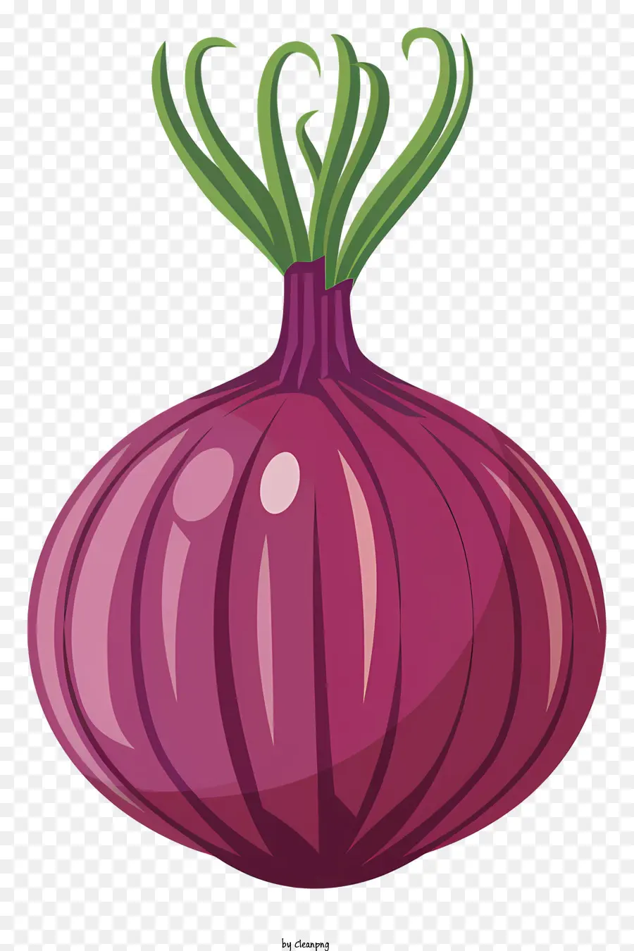 Cebola，Roxo PNG