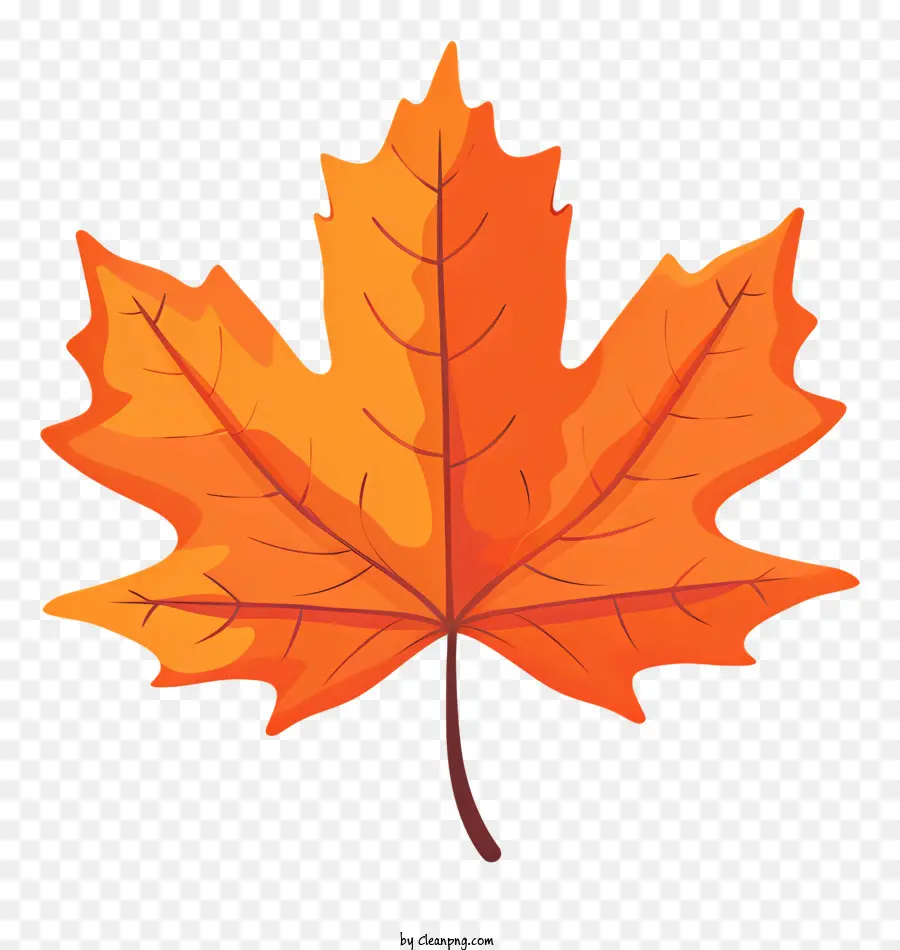 Maple Leaf，Canadense Maple Leaf PNG