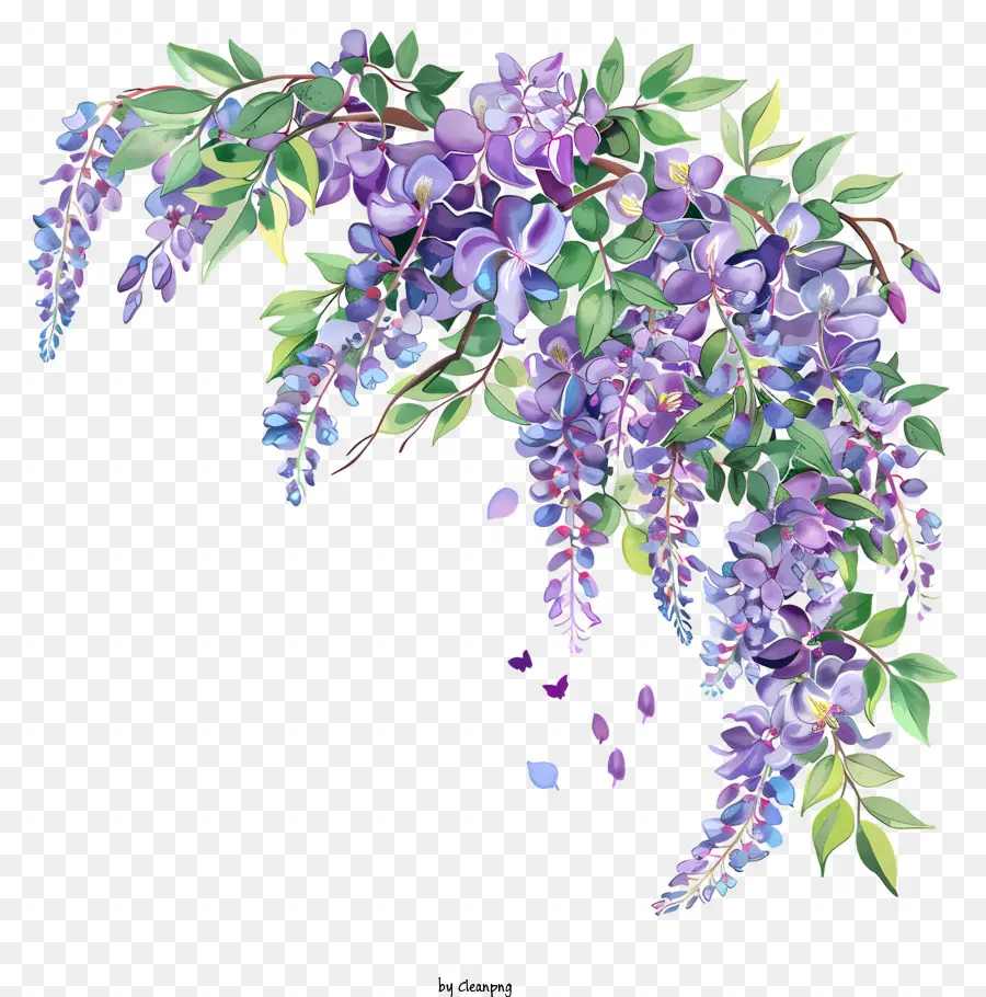 Wisteria Corner，Pintura De Gabineia PNG