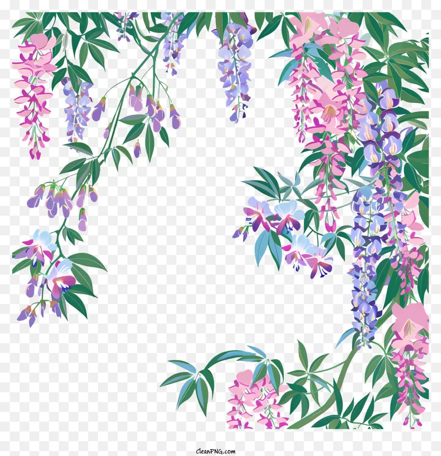 Fronteira Das Wisteria，Flores De Wisteria PNG