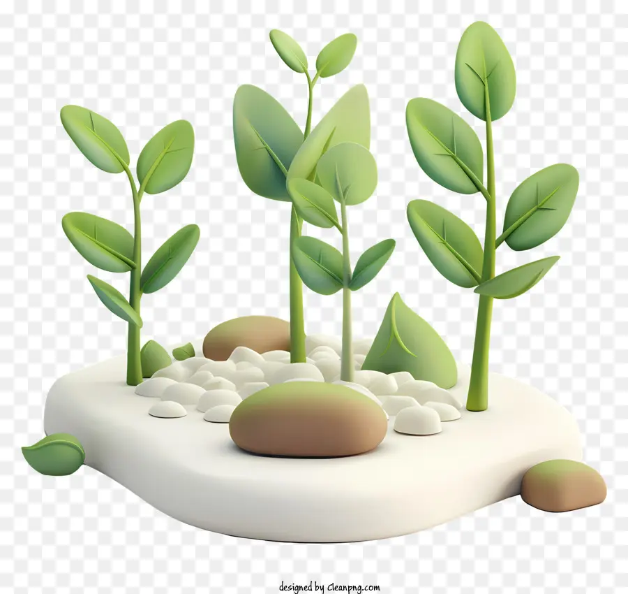 A Sementeira，Pequena Planta PNG