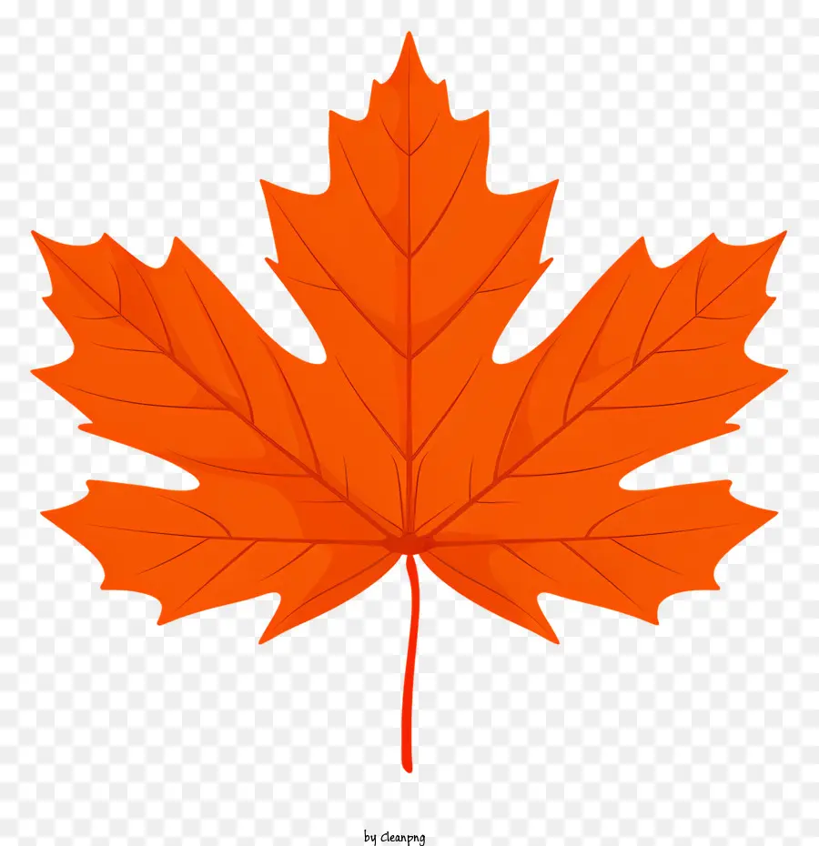Maple Leaf，Laranja Maple Leaf PNG