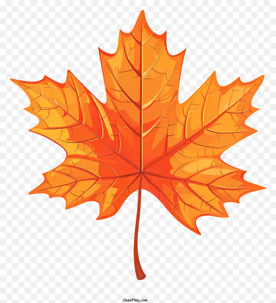 Maple Leaf，Laranja Folha PNG