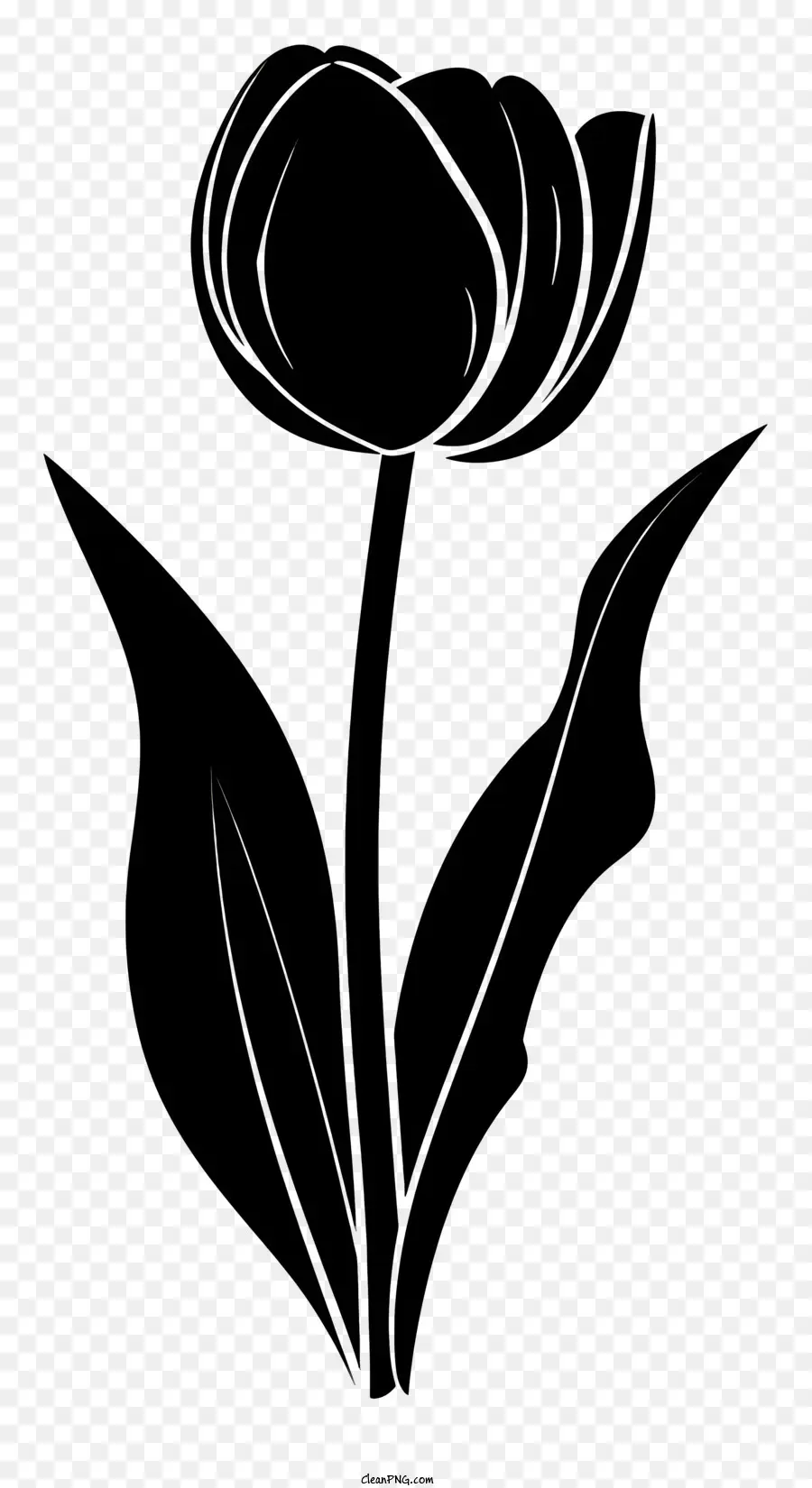 Flor Silhueta，Esboço De Tulipa PNG